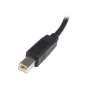 CABLE STARTECH USB A-B 2m 480 Mbit/s NEGRO USB2HAB2M