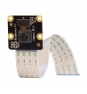RASPBERRY PI CAMARA MODULE NOIR V2 913-2673